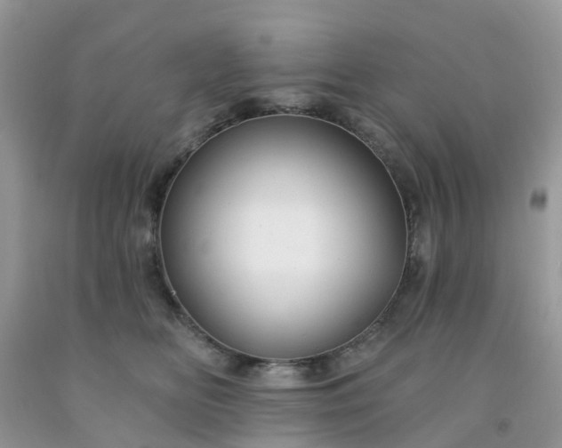 X0000091690518200709061128