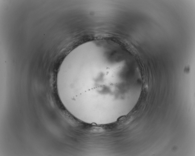 X0000091690519200709061128