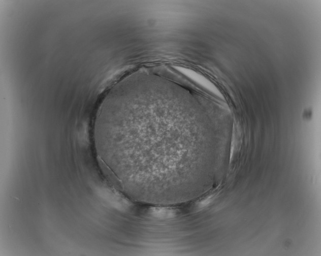 X0000091690520200709061128