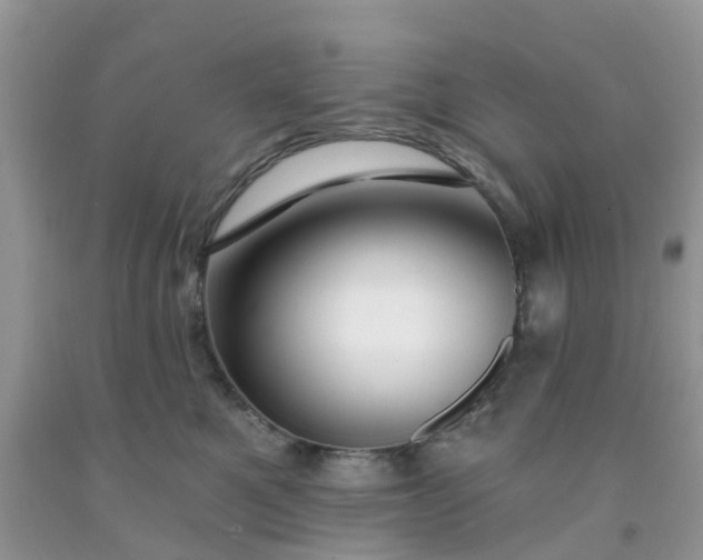 X0000091690521200709061128