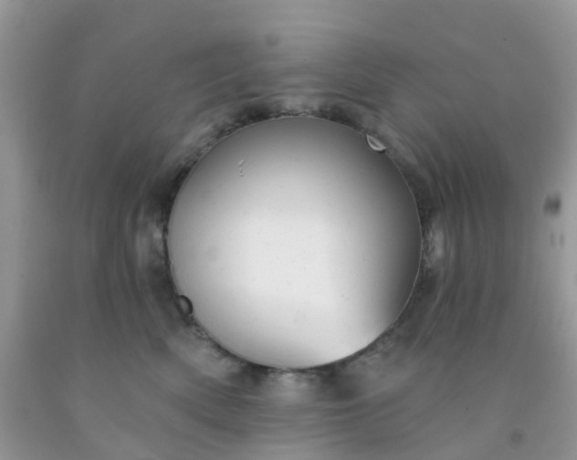 X0000091690522200709061128