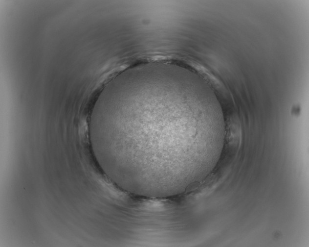 X0000091690523200709061128