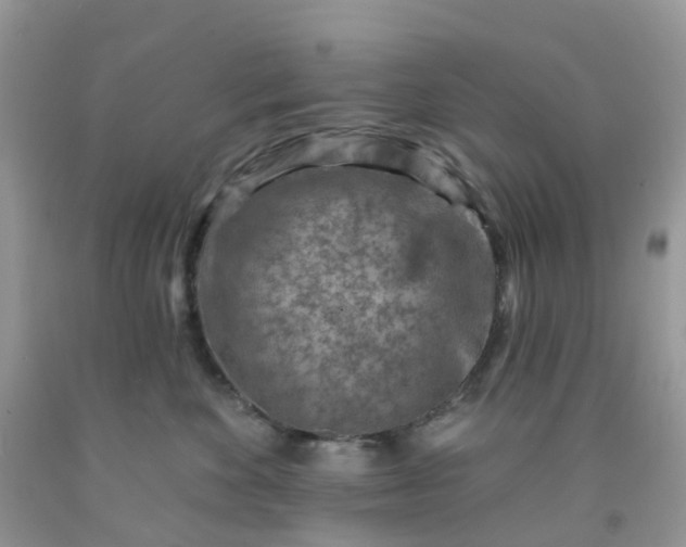 X0000091690524200709061128