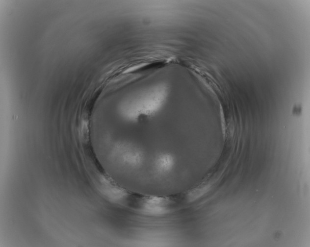 X0000091690527200709061128