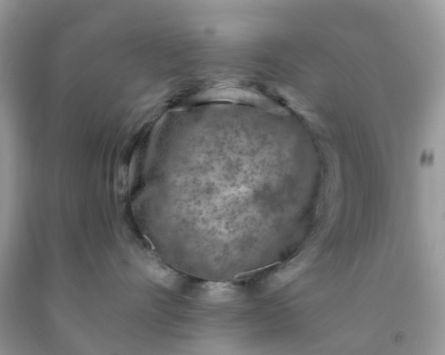 X0000091690528200709061127