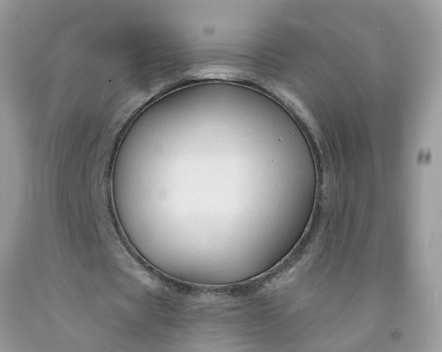 X0000091690529200709061127