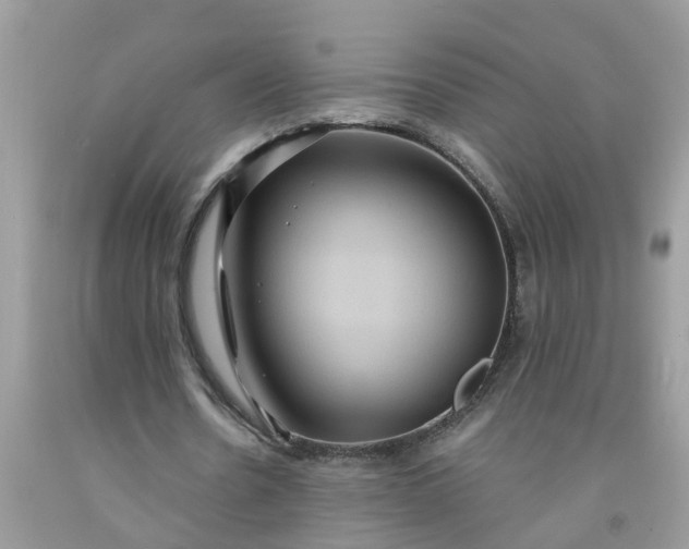 X0000091690530200709061127