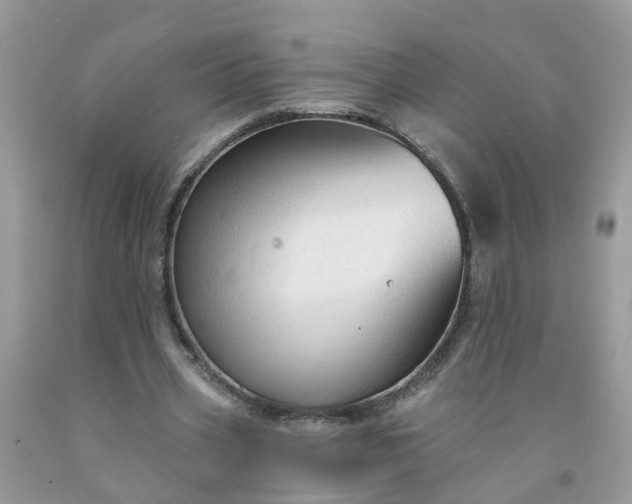 X0000091690533200709061127