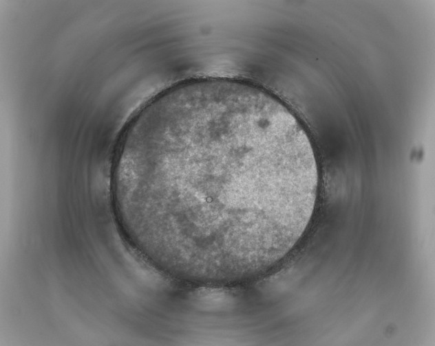 X0000091690534200709061127