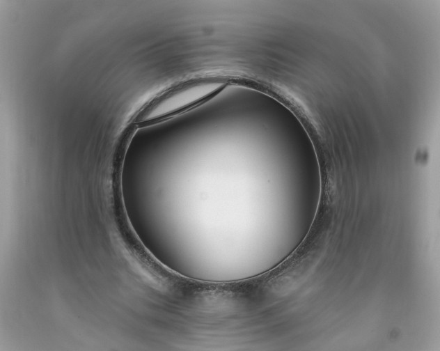 X0000091690535200709061127