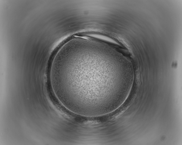 X0000091690536200709061127