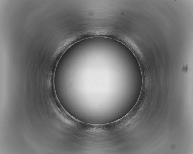 X0000091690537200709061127