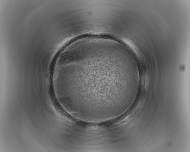 X0000091690540200709061127