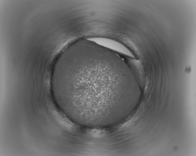 X0000091690542200709061127