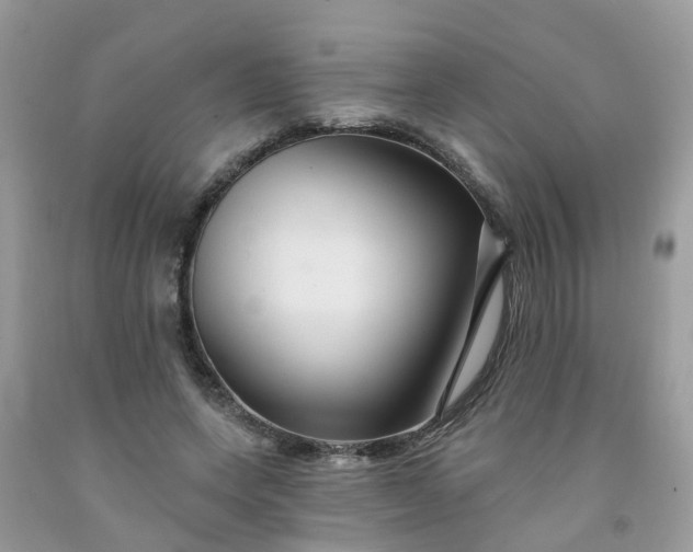 X0000091690543200709061127