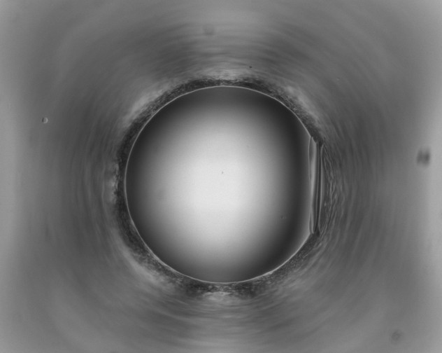 X0000091690544200709061127