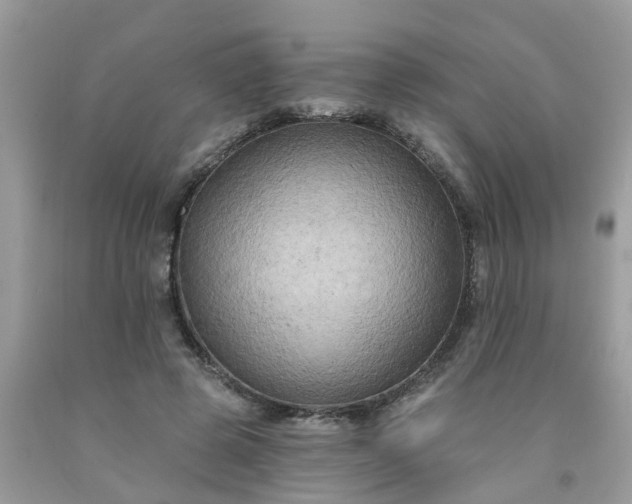 X0000091690545200709061127