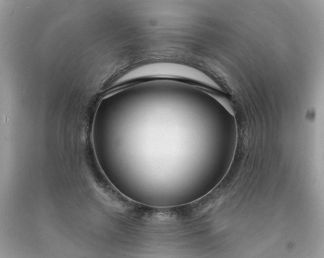 X0000091690546200709061127