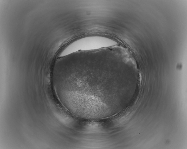 X0000091690547200709061127