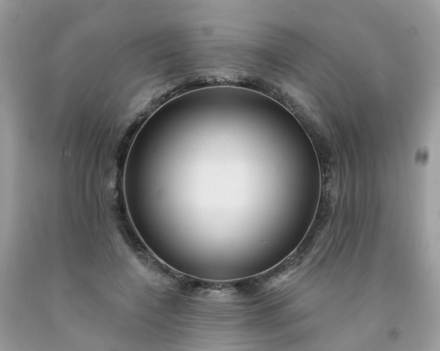 X0000091690548200709061127