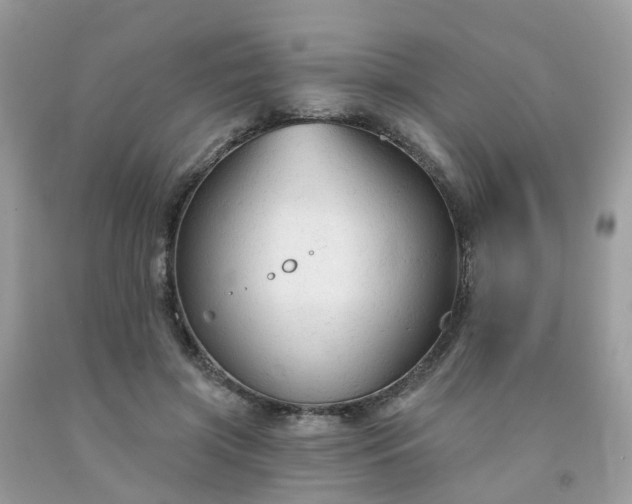 X0000091690549200709061127