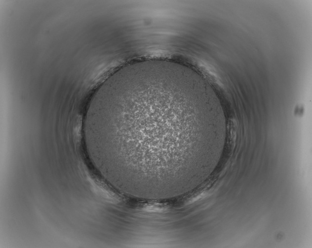 X0000091690550200709061127