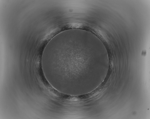 X0000091690551200709061127