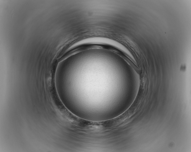 X0000091690552200709061127