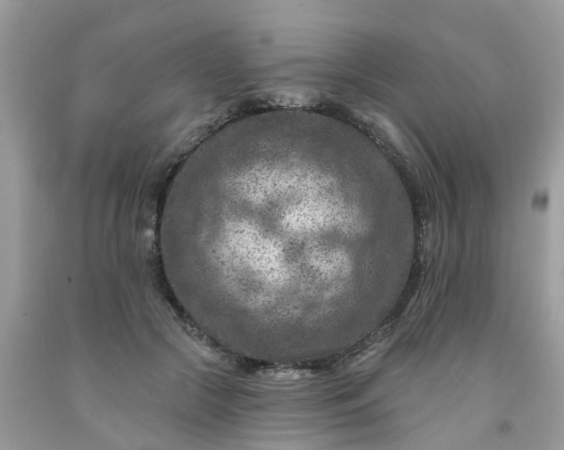 X0000091690553200709061127