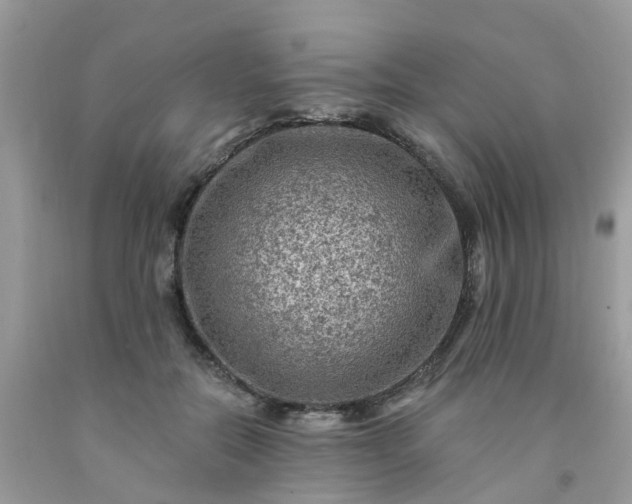 X0000091690554200709061127