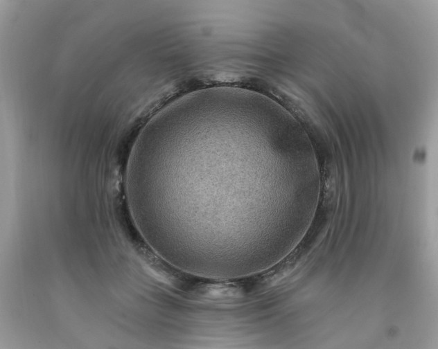 X0000091690555200709061127