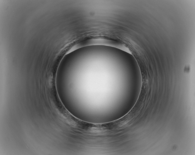 X0000091690556200709061127