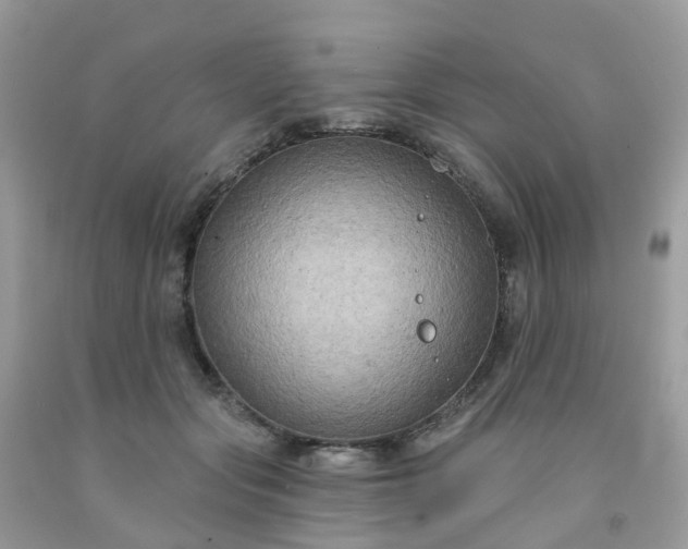 X0000091690557200709061127