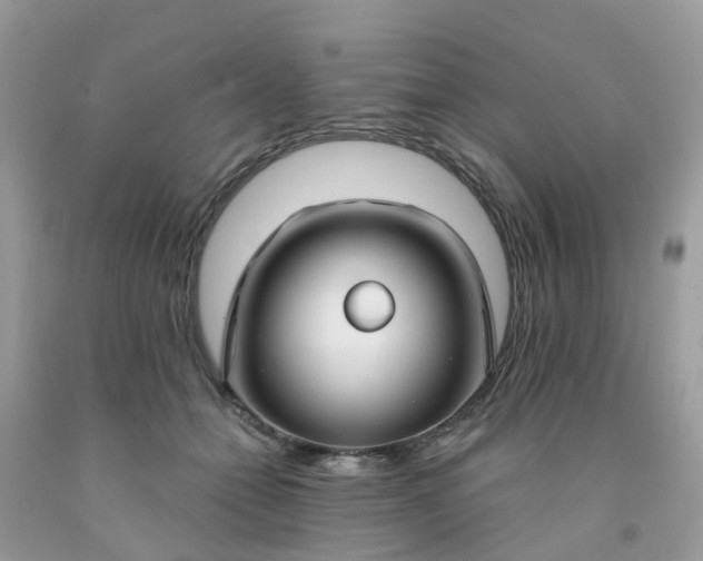 X0000091690558200709061127