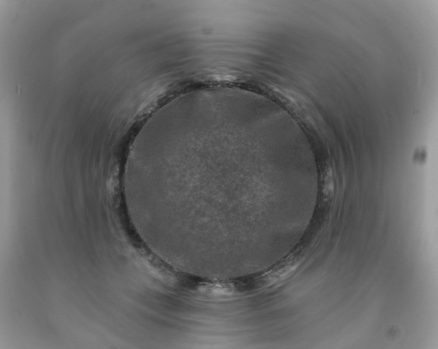 X0000091690559200709061127