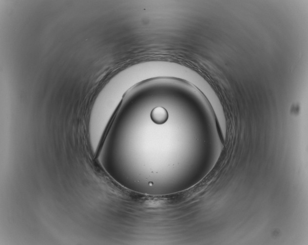 X0000091690560200709061127