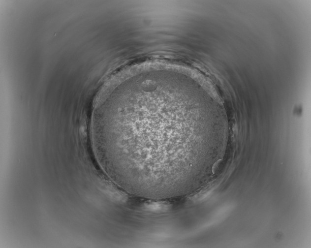 X0000091690561200709061127