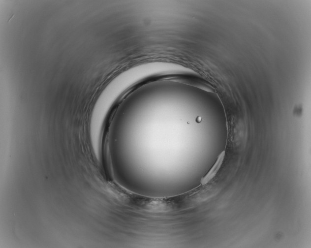 X0000091690562200709061127