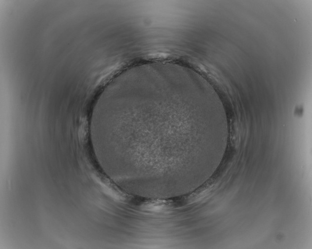 X0000091690563200709061127