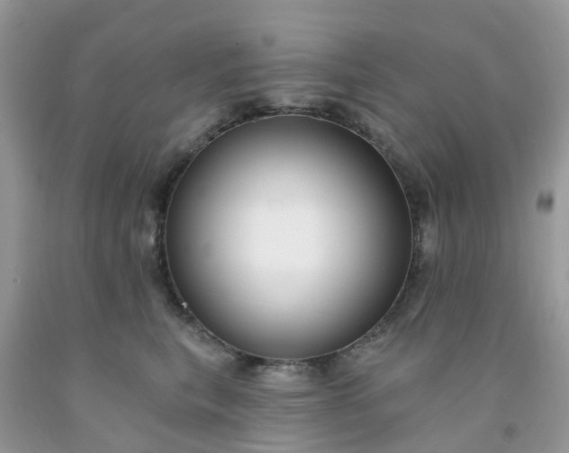 X0000091690567200709061127