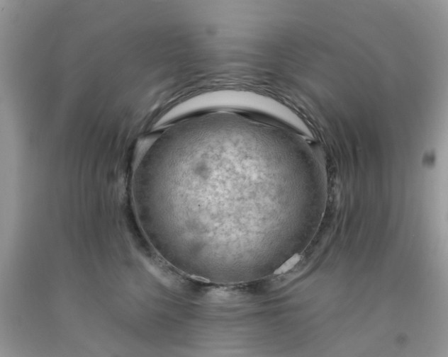 X0000091690568200709061127