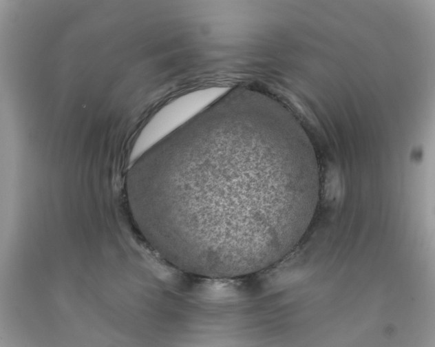 X0000091690569200709061127