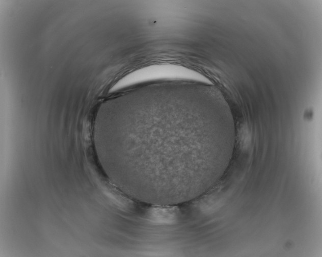 X0000091690571200709061127