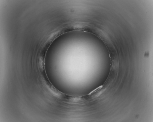 X0000091690575200709061127