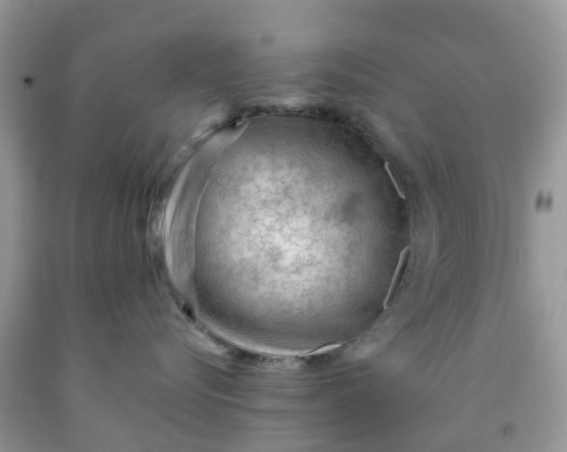 X0000091690576200709061127