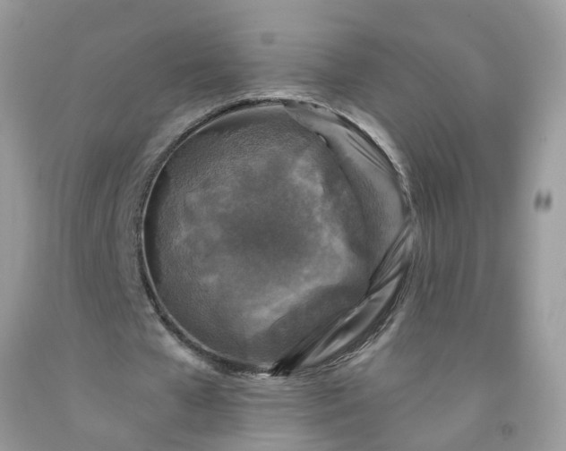 X0000091690577200709061127