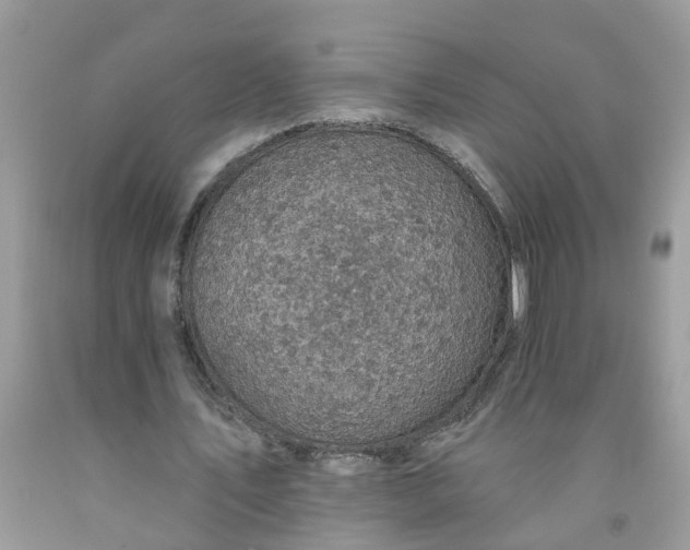 X0000091690579200709061127