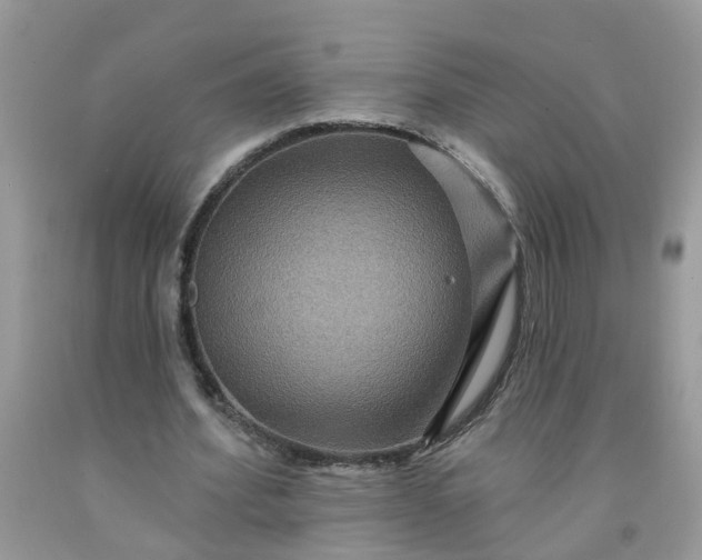 X0000091690580200709061127