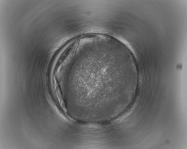 X0000091690581200709061127