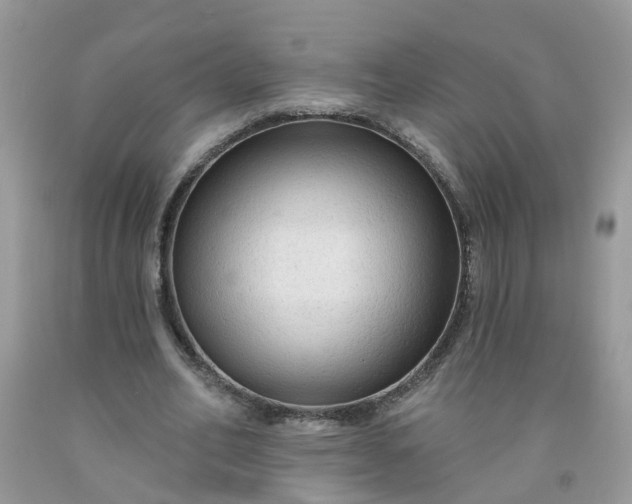 X0000091690582200709061127